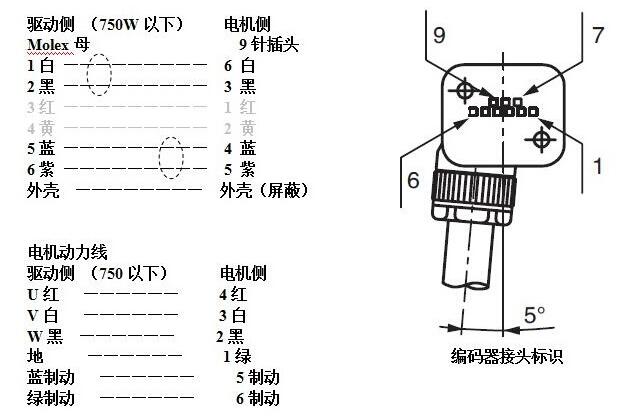 松下草莓视频APP下载安装无限看电机